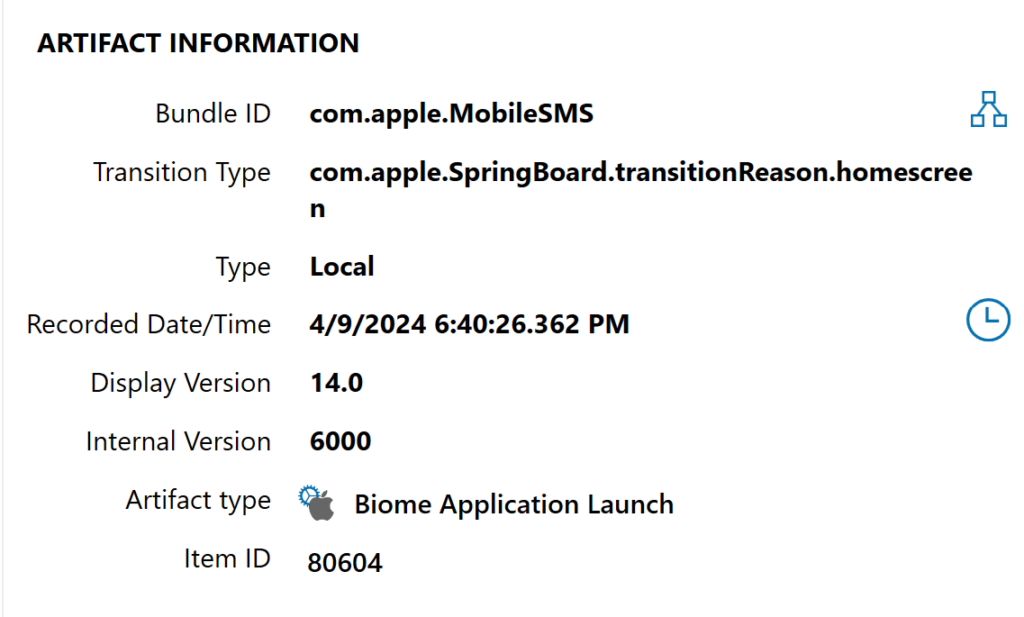 A screenshot of artifact information for a Biome Application Launch artifact.