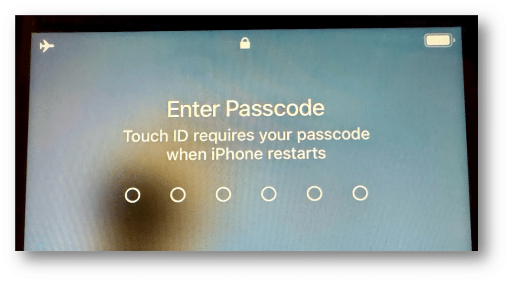 Screenshot of an iOS device login screen.