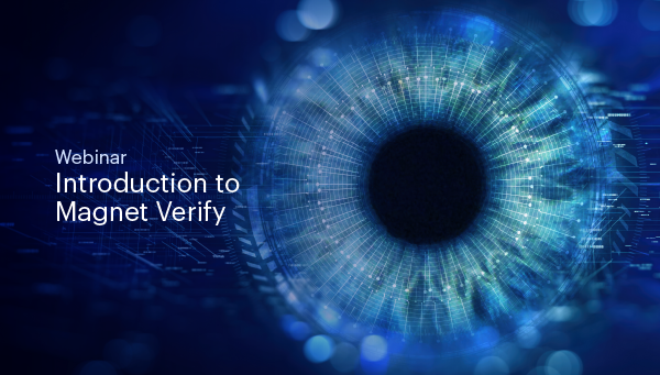 Introduction to Magnet Verify